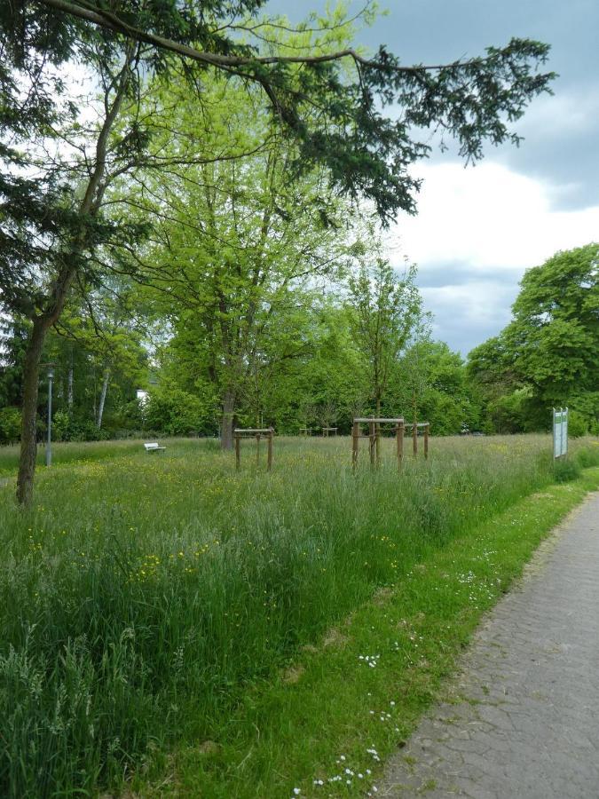 Ferienwohnung Am Hirschpark Bad Pyrmont Esterno foto